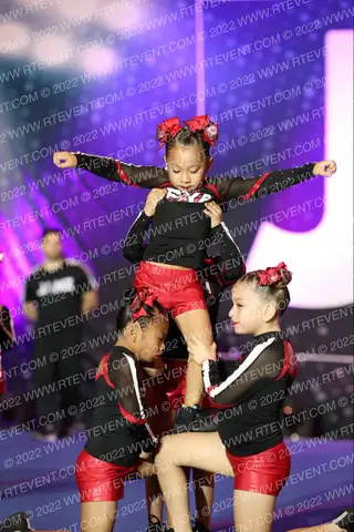 PYA PATTERSON PANTHER MINI