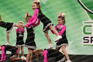 Zionsville Youth Football League Flying Eagles (8y)