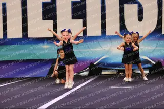 Memphis Elite Tiny Chicks
