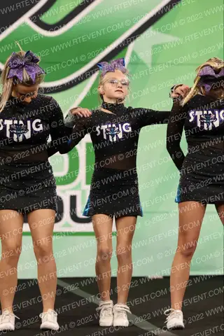 Sting Queen Bees