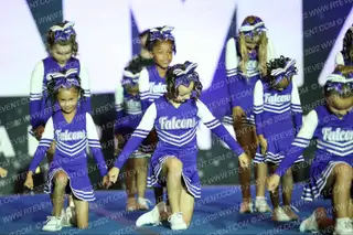 PLEASANT HILL FALCONS JR PEEWEE