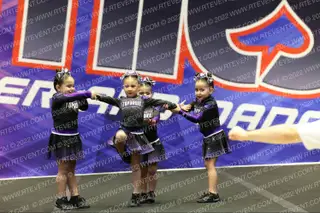 Top Dawg Cheer & Tumbling Wild Things
