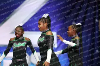 INGLEWOOD SENTINELS VENOM