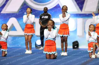 WATTS DOLPHINS