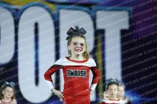 Iowa Ambush Cheer Fierce