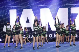 VORTEX CHEER FORCE