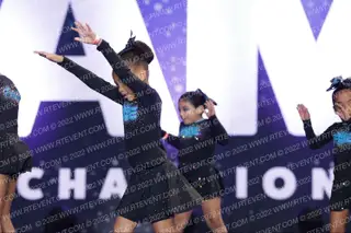 FRESNO ELITE BUMBLEBEE
