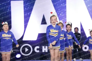 WILL C WOOD JR WILDCATS 8U