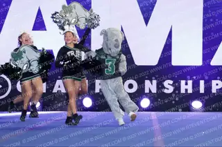 JR RHINOS MIDGETS