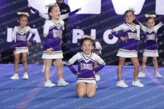 HOLLISTER VIKINGS TINYMITE CHEER