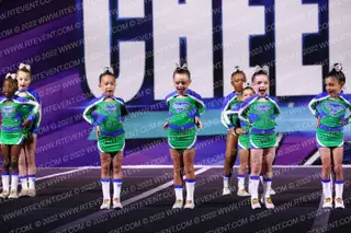 The Stingray Allstars Cinnamon