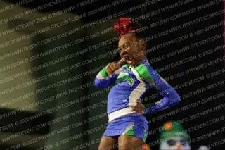 The Stingray Allstars Wildcards