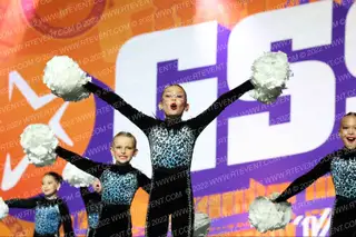 South Coast Freestyle Mini Variety \Wild Things\