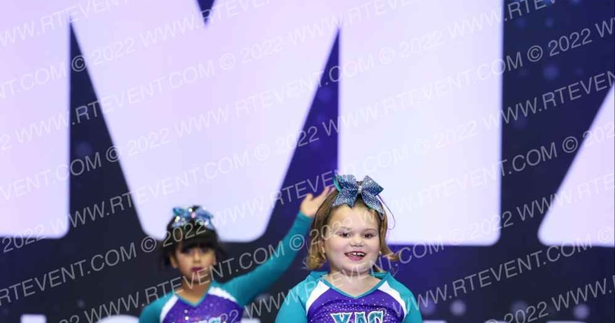 YAC ELITE  GROUND ZERO · Palms and Pyramids