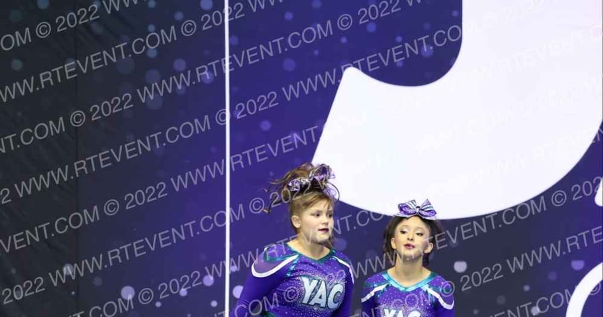 YAC ELITE GRAVITY · Palms and Pyramids