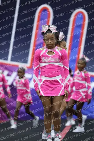 Lady Assassins Cheerleading Pink Flames
