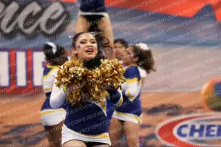 Carter High School Lions
