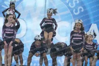 Cali Dream Athletics Royal Revolution
