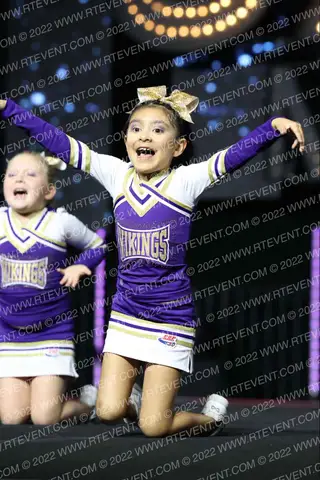 HOLLISTER VIKINGS TINY MITES