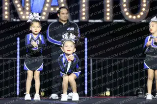 LADY COLTS TINY MITES