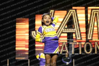 NORWALK VIKINGS