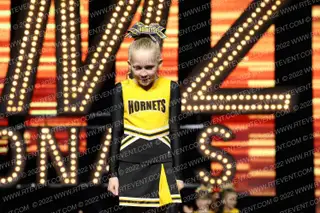 TURLOCK HORNETS