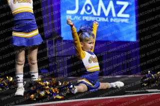 AVYFC CORCORAN PANTHERS 8U