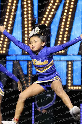 WILL C WOOD JR WILDCATS 8U