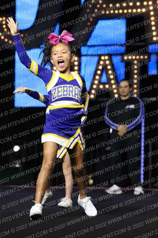 LINCOLN JR ZEBRAS JUNIOR PEEWEE