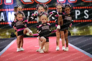 Diamonds All Stars GLITTER BUGS