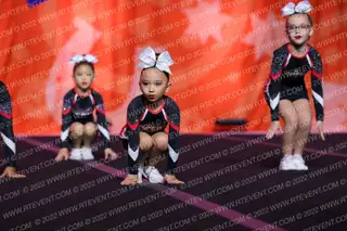Stars Vipers Katy Gummy Snakes