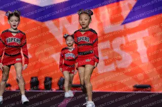 Stars Vipers Tiny Bites