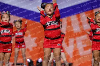 Stars Vipers Bitty Boom