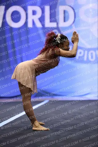 Gilbert High School - POM T. Lee