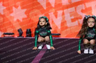 Alamo All-Star Cheer Mini Meow