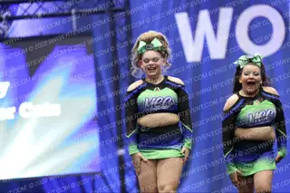 Mystic Cheer Cats Legacy