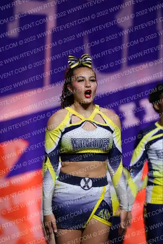 Texas Wolverine All Stars Gold Blades