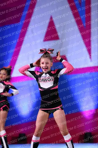 Bulldawg Elite Allstars Bulldawg Elite All Star Dynasty