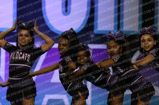 DIAMOND WILDCATS ALL-STARS DWA Panther Emeralds