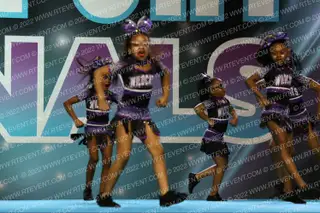 DIAMOND WILDCATS ALL-STARS DWA Cheetah Gems