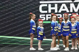 World Elite Boss Babes