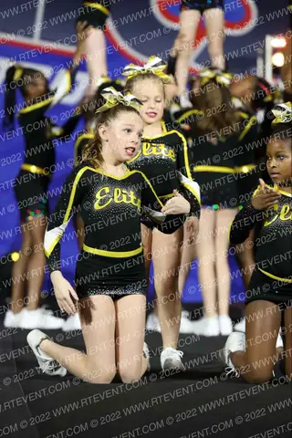 Lethal Elite Killerbees