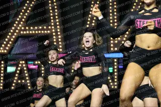 FIERCE IDAHO STEALTH