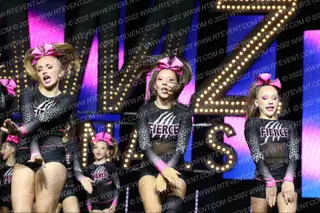 FIERCE SCRATCH CATS