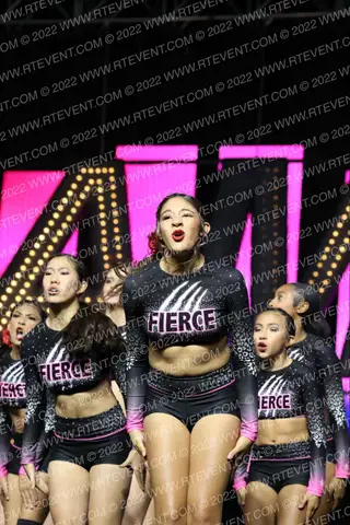FIERCE BLACK CATS