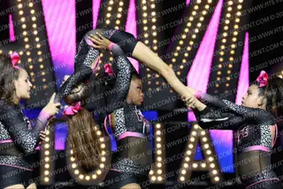 FIERCE CHEETAHS