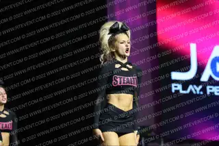 FIERCE IDAHO STEALTH