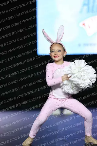 Energizers Energizer Bunnies