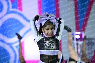 Dragons Elite Golden Divas