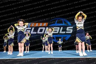DEXTER LIONS TINY MITES